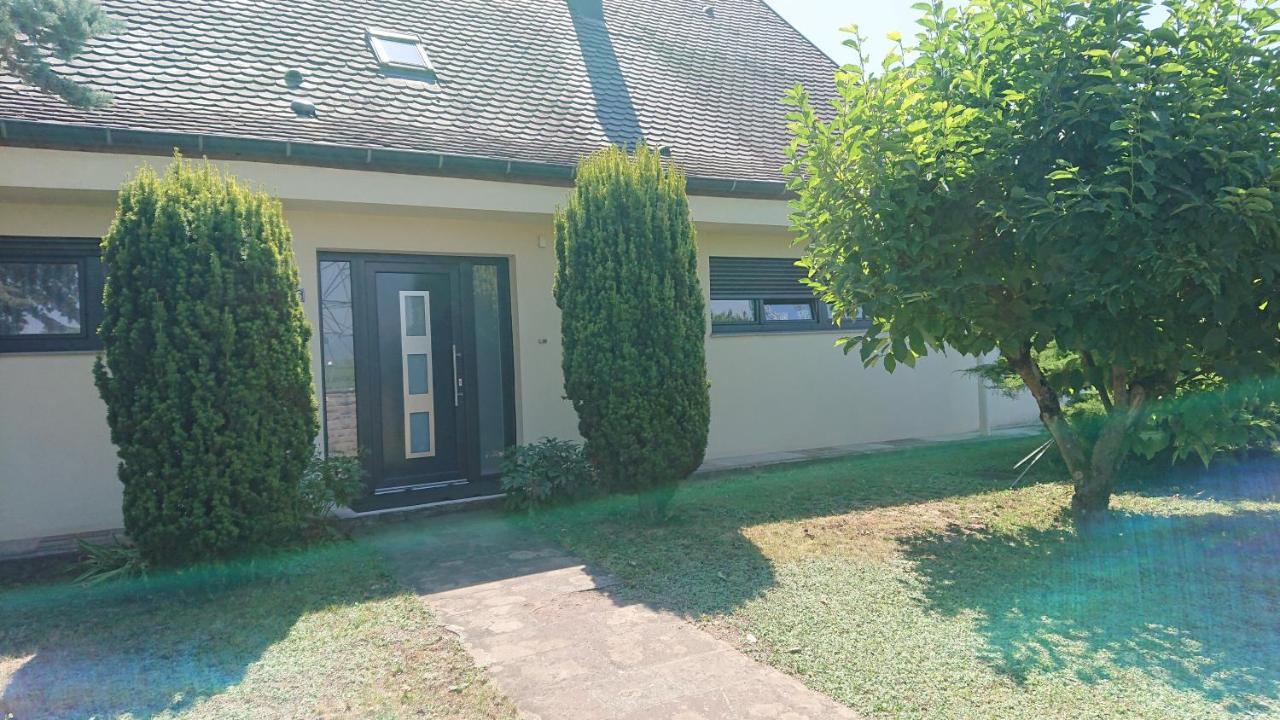 Logement Entier: Route Des Vins.Wintzenheim Apartment Exterior foto